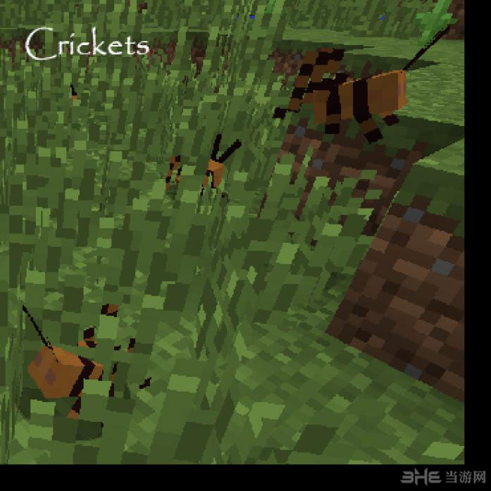 在我的世界里怎么喂wheat给动物吃-我的世界喂