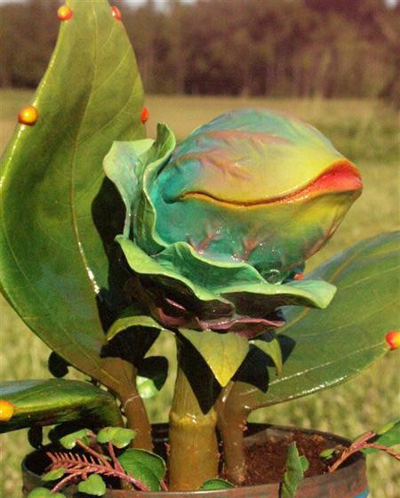 玩家自制食人植物欣赏