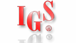 台湾鈊象电子（IGS）官网