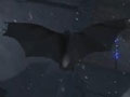 蝙蝠侠阿卡姆起源BUG怎么过 被困通信塔怎么出去