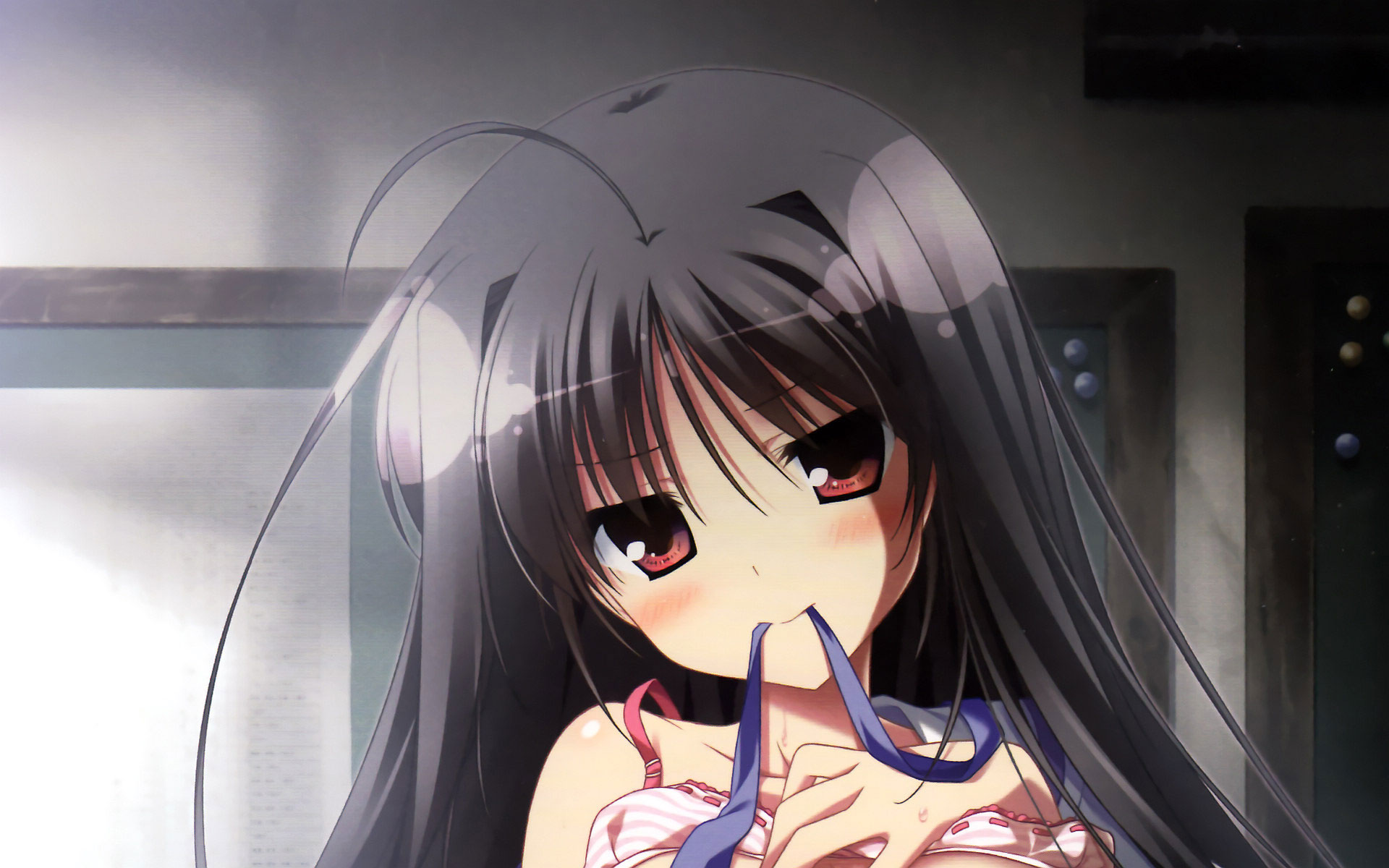 夏空的英仙座最新超卡哇伊宽屏壁纸欣赏