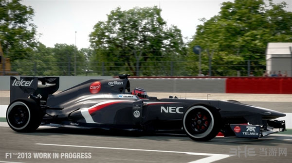F1 2013游戏截图8