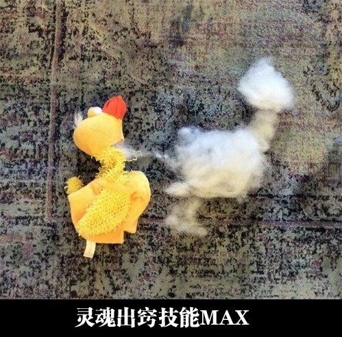 每日一囧:皮卡丘超进化