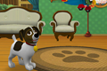 模拟宠物狗6