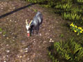 模拟山羊获IGN8.0好评 火箭背包山羊来袭