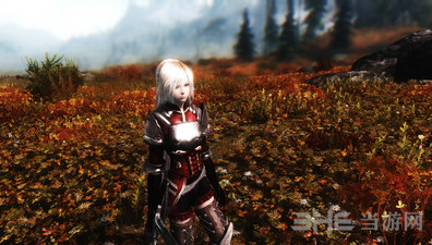 上古卷轴5天际随从MOD精灵暖妹浦蒲 汉化版