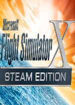 微软飞行模拟X：Steam版