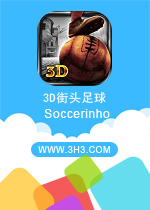 3D街头足球电脑版