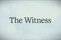 沙盒解谜神作《目击者》游戏实体收藏光盘将发布