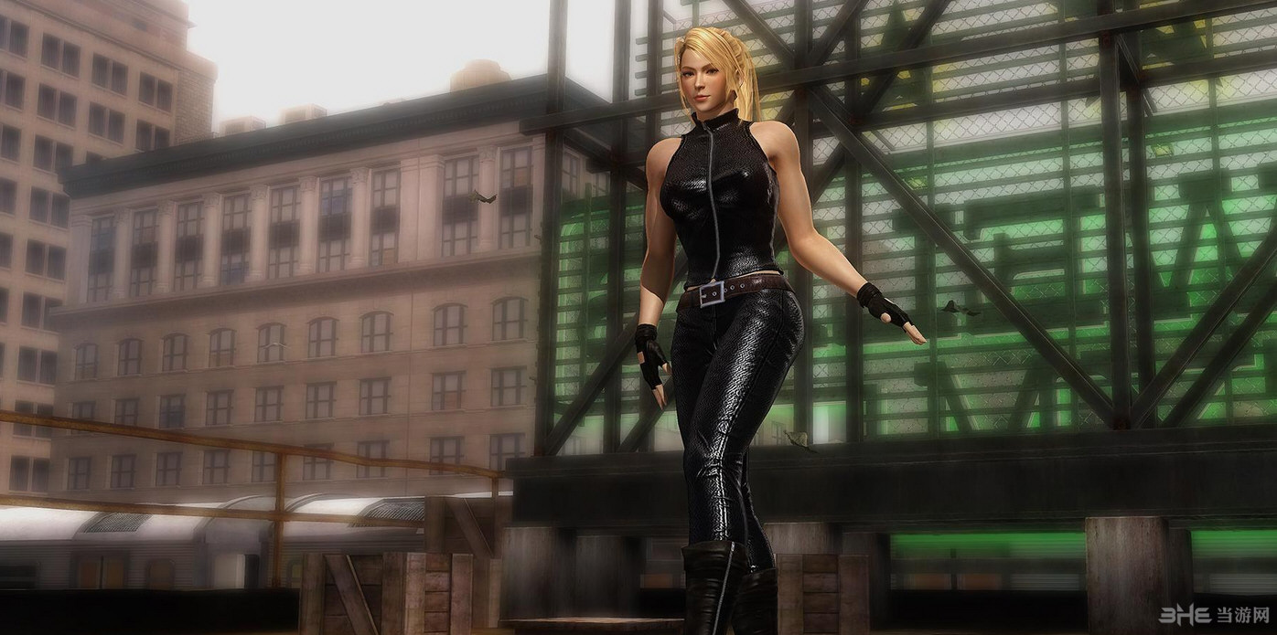 生或死5:最后一战清凉萨拉MOD 下载