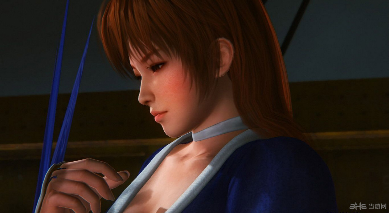 生或死5:最后一战金刚女郎phase4MOD 下载