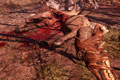 育碧公布《孤岛惊魂：原始杀戮》PS4版全新截图
