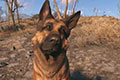 《辐射4》伙伴“狗肉”获得游戏界最棒狗狗奖