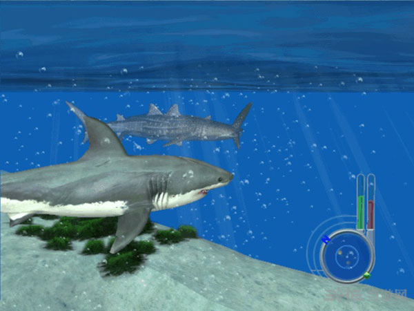 大白鲨游戏截图2