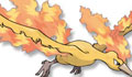 pokemon go火焰鸟在哪 pokemon go火焰鸟坐标