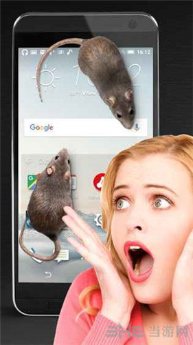 大鼠在屏幕上2