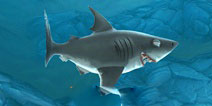 饥饿鲨世界公牛鲨截图