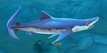 饥饿鲨世界大青鲨截图