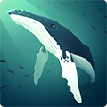 深海水族馆汉化版 (AbyssRium)安卓版v1.0.3
