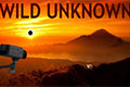 《狂野未知》预告视屏发布 已开通Steam页面