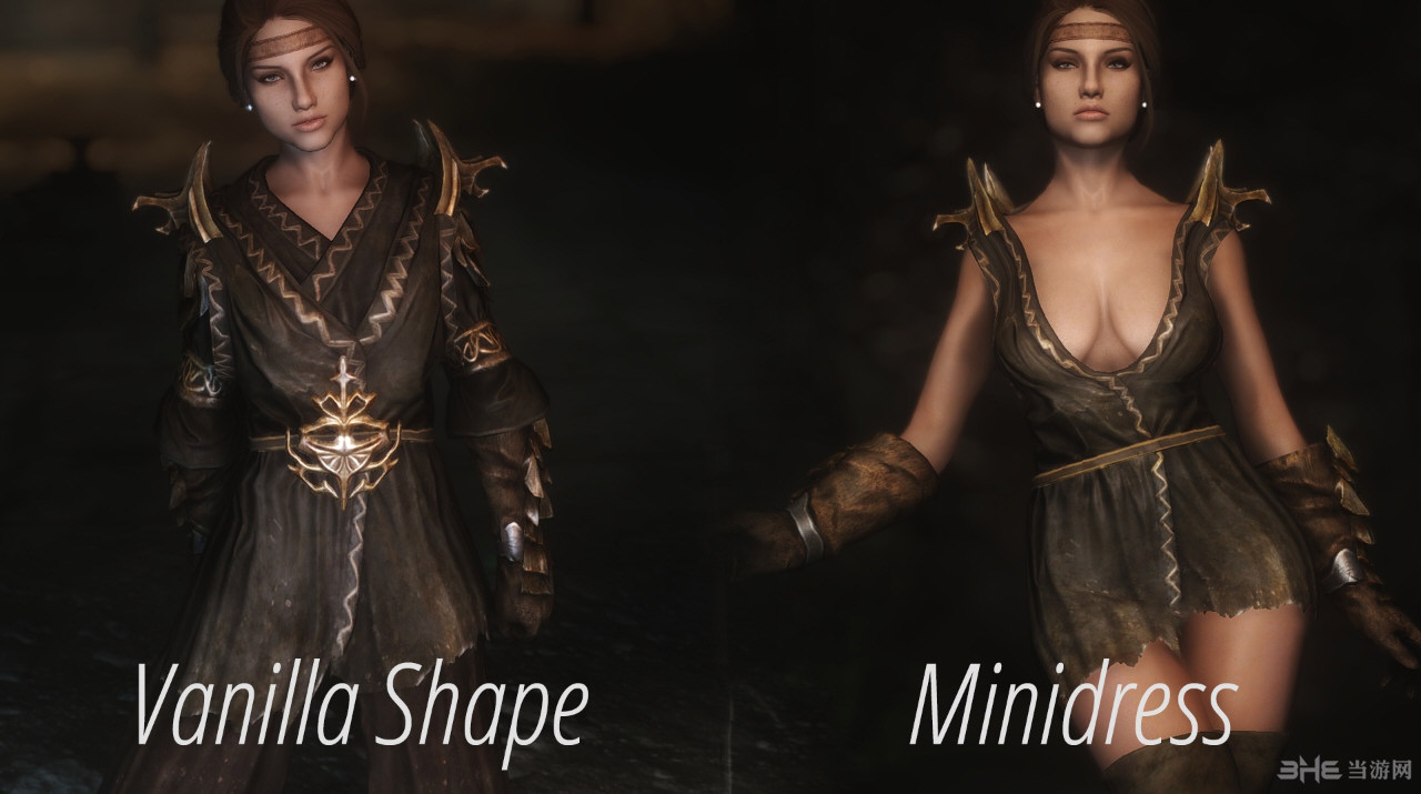 上古卷轴5替换原版女性装备MOD 下载