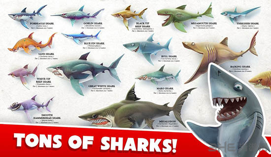 饥饿鲨：世界修改版截图2