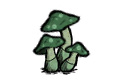 饥荒绿蘑菇有什么用 饥荒绿蘑菇代码属性介绍