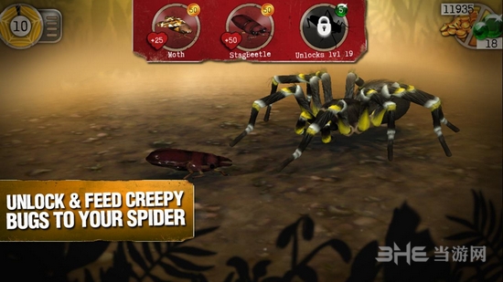 真正可怕的蜘蛛截图3