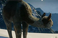 正当防卫4公布新预告片 围绕游戏中野生动物们进行介绍