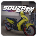 SouzaSim Project