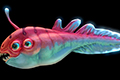 深海迷航食人鱼怎么打 美丽水世界食人鱼属性介绍