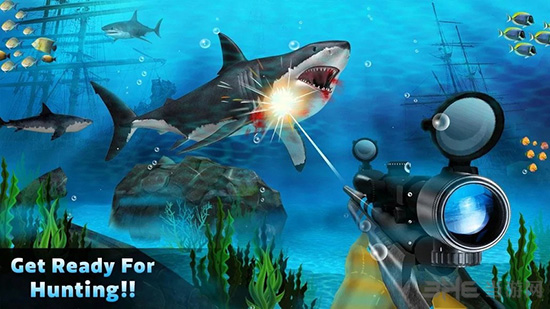 鲨鱼狩猎截图4
