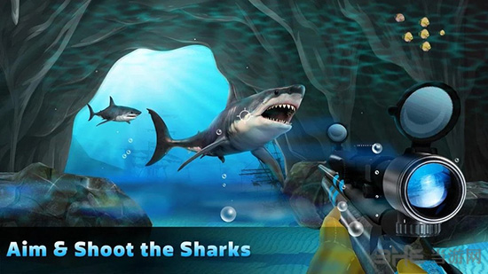 鲨鱼狩猎截图5