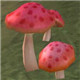 创造与魔法红蘑菇图片