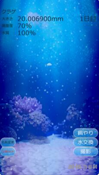 ellyfish Aquarium Free手游4