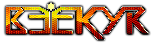 Beekyr logo图片