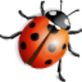 Weather Beetle (桌面天气预报软件)最新版V3.0.7.143