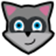 Raccoon(apk下载器) 官方版v4.1.0.0
