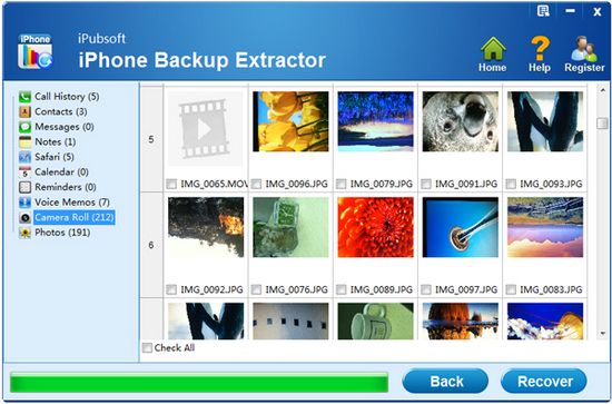 iPubsoft iPhone Backup Extractor图片