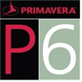 P6项目管理软件 官方版V7.0