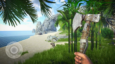 最后的海盗:岛屿生存无限材料版1