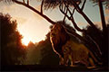 《动物园之星》发布最新预告 游戏将于11月5日发售