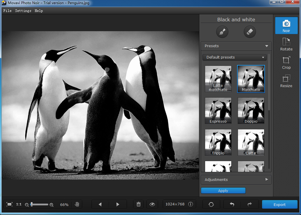 Movavi Photo Noir截图3