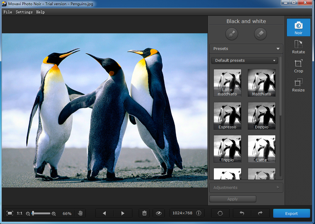 Movavi Photo Noir截图1