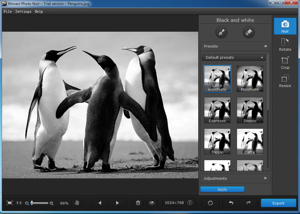 Movavi Photo Noir截图2