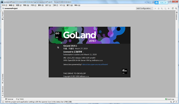 JetBrains GoLand 2023.1.3 instal the new version for windows