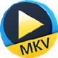 Aiseesoft Free MKV Player(mkv播放器)
