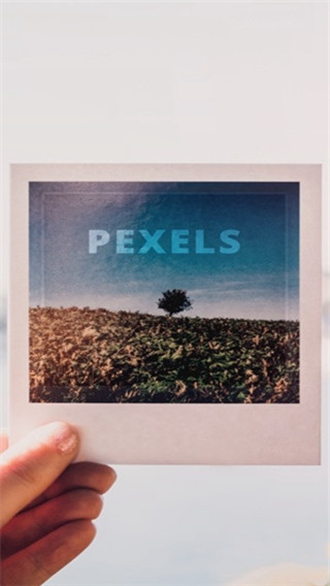 Pexels免费素材网1