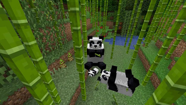 我的世界熊猫在哪生成 熊猫行为习惯介绍