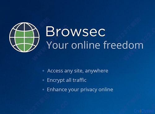 Browsec Chrome图片